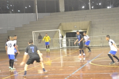 futsal (101)