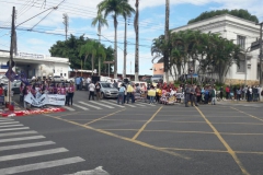 Greve_Registro6