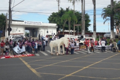 Greve_Registro8